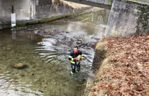 Fire Brigade Munich saves dogs from the rural channel