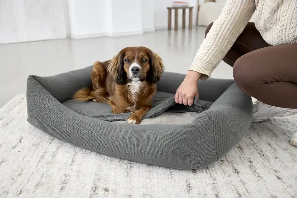 Palopa: stylish dog beds with a feel -good factor