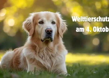 World Animal Welfare Day: Reminder and call to action
