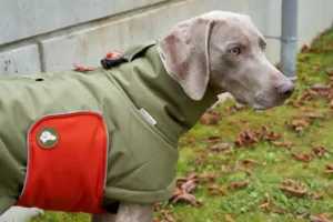 @Theo&Emma - OSKAR dog winter coat