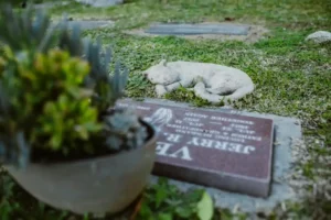 Pet cemetery