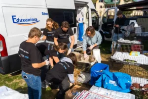 PETA and Martin Rütter's team in action in Romania