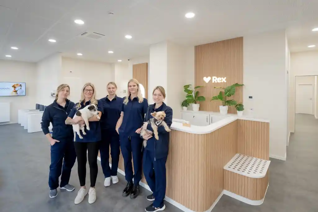 Rex-Praxis in Düsseldorf - Empfang