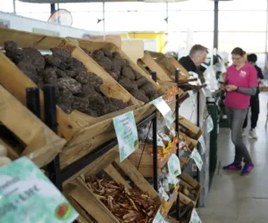 Fellnasen & Friends pet fair in Husum