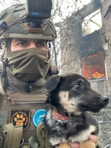 Ukraine: More than 30,000 animals rescued