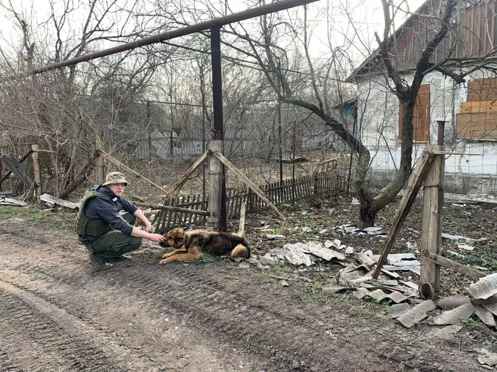 Ukraine: More than 30,000 animals rescued