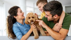 Dogs learn from humans