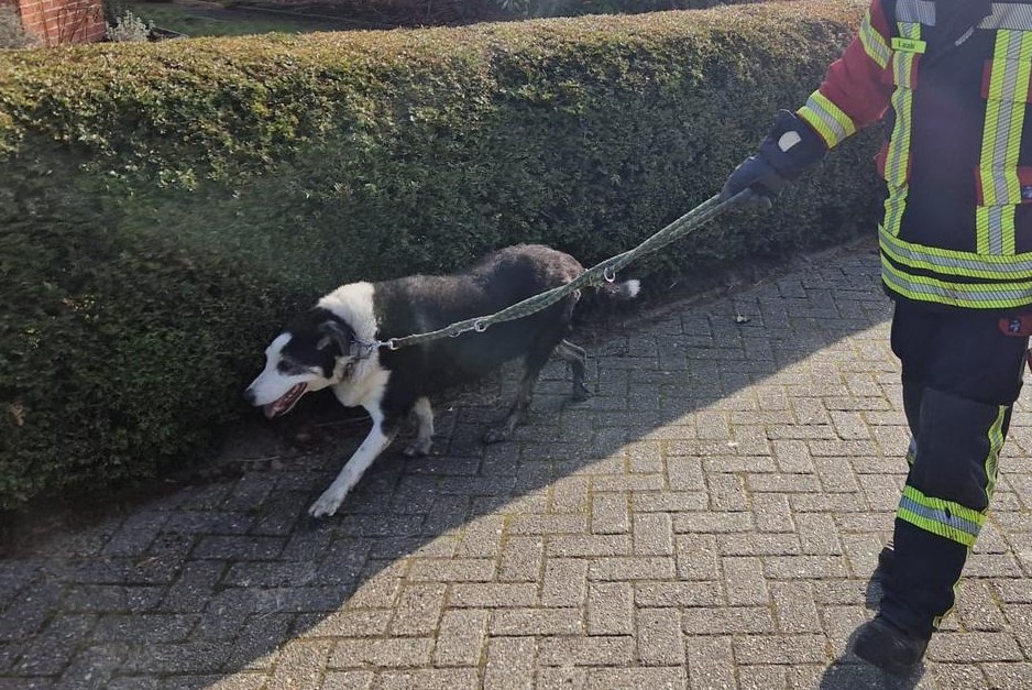 Moormerland - Tierische Rettung