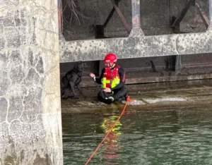 Munich fire department rescues dog from Isar