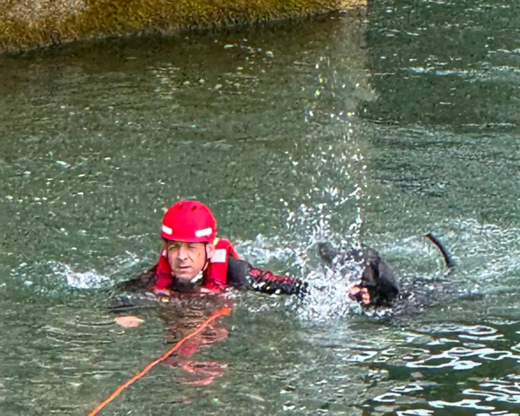 Feuerwehr München rettet Hund aus Isar