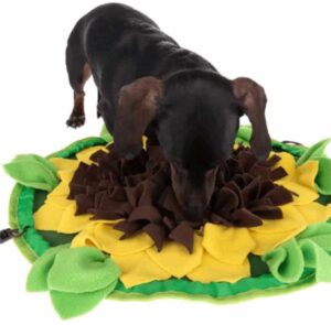 Zooplus - Sunnyflower sniffing mat