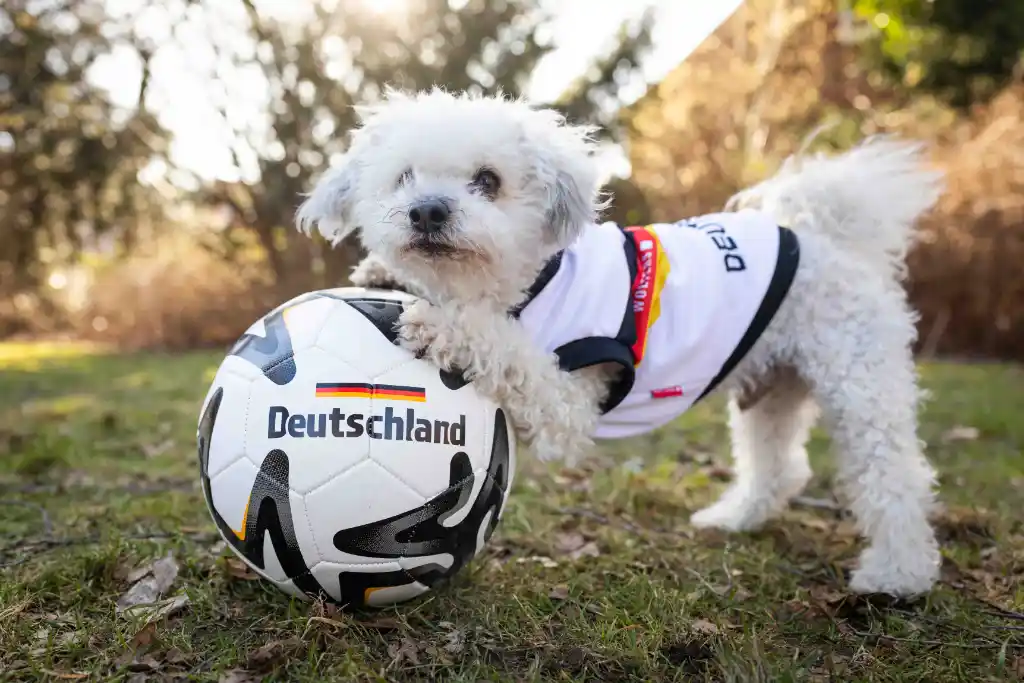Germany jersey for dogs from WOLTERS