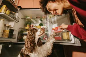 Butternut Box - freshly cooked meals