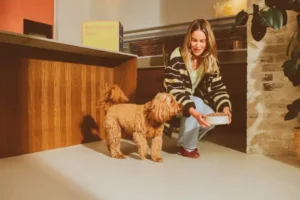 Butternut Box - freshly cooked meals