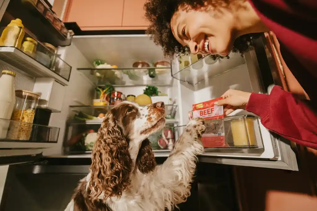 Butternut Box - frisch gekochten Mahlzeiten