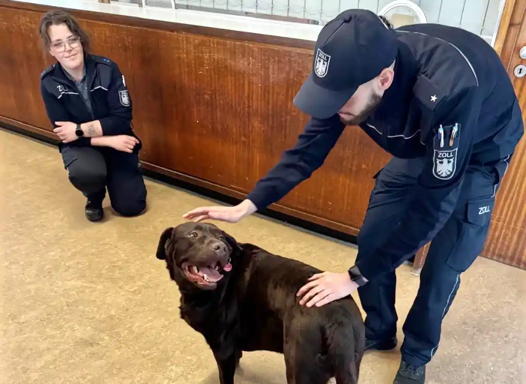 Labrador Brownie conquered everyone's hearts in the Schwanenhaus customs office