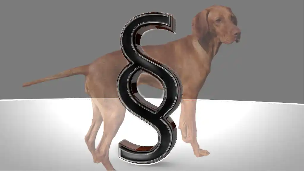 Dog owners in court: two unusual cases