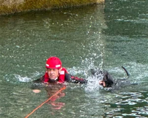 Munich fire department rescues dog from Isar