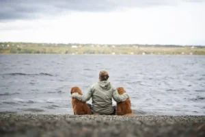 Breeding and setting time - 5 tips with the dog