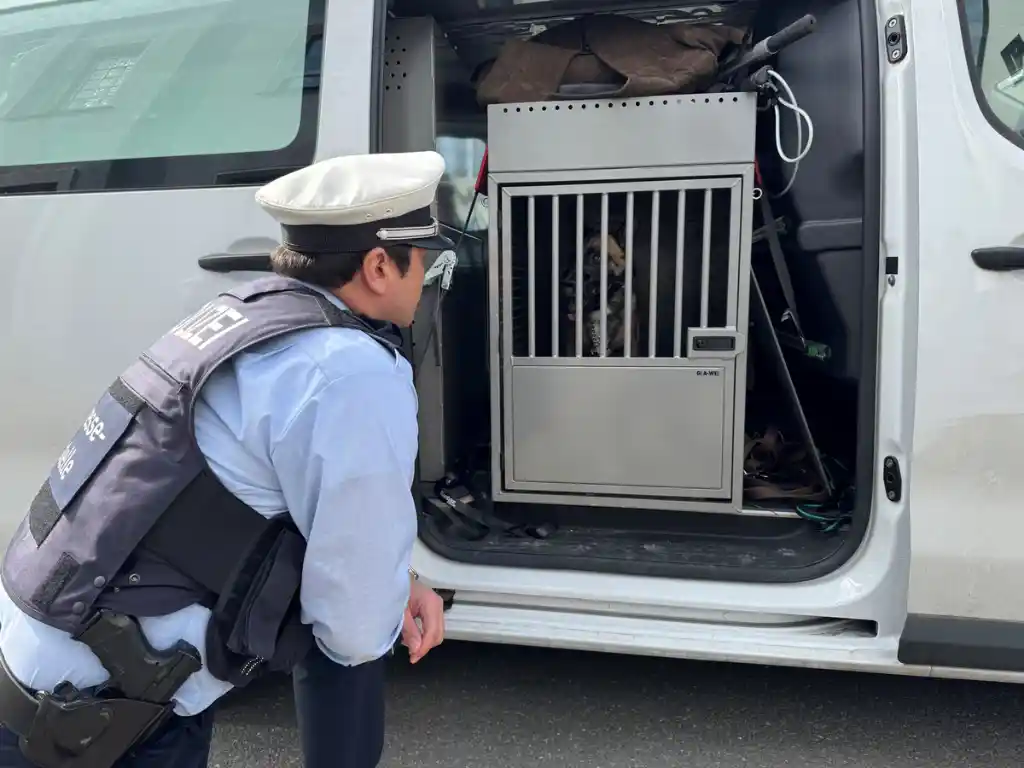 Polizei Dortmund nimmt Hund in Obhut