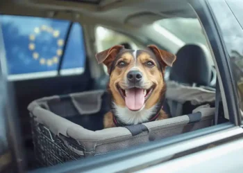 Traveling with a dog: What will change with the new EU regulations?