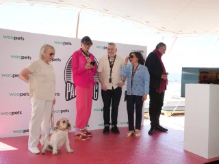 Illustration of the article: Adopted from a shelter, Yuri from the film “The female dog” (“La Perra”) wins Palm Dog 2026