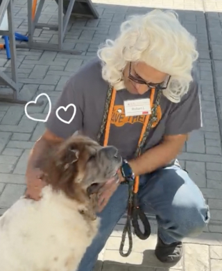 Article illustration: This shelter dog was wary of men until her caregiver put on a wig to gain her trust (video)