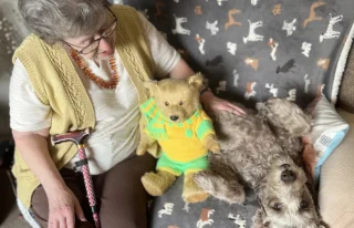 Illustration of the article: Rescued at the same time as 250 animals, this dog begins a new life at 13 years old, alongside delighted adopters