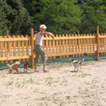 dog beach-italy-spiaggia-di-snoopy-03