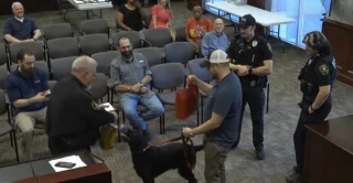 Illustration of the article: A particularly peaceful Labrador honored during a ceremony for having chased away a dangerous burglar