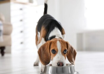 good habits to adopt upon arrival