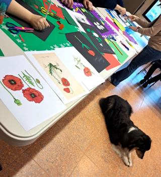 Illustration of the article: In this Allier museum, an Australian Shepherd helps children with disabilities discover art (video)