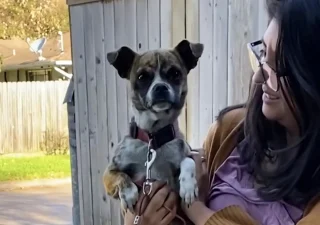 Illustration of the article: Discovered in a ditch, this dog overcomes her shyness in a foster family and experiences the joy of adoption