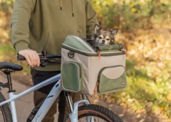 Traveling with a dog and a bike