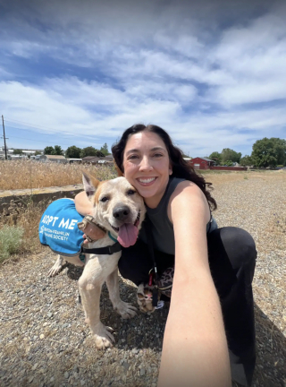 Illustration of the article: At the shelter for too long, this dog eager for adventure and wide open spaces runs in circles in her box while waiting for adoption (video)