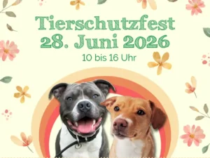 Animal protection festival Hamburg animal protection association