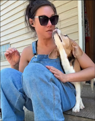 Illustration of the article: After 7 years without love, this former laboratory Beagle enjoys his first family cuddles (video)