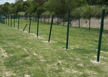 A solidarity fund created to relaunch the park project for a vandalized Champagne refuge