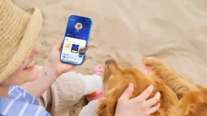 Lassie pet insurance app