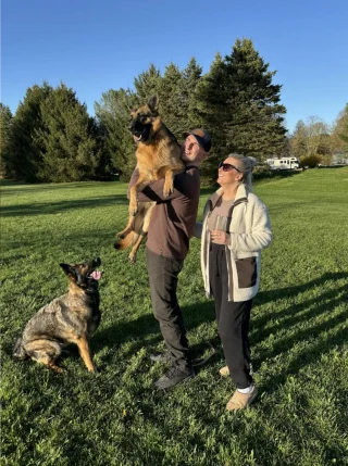 Illustration of the article: Thanks to the exceptional flair of their 2 German Shepherds, these owners free 2 kittens stuck in a barn