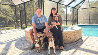 Illustration of the article: Deemed too gentle to hunt, this Beagle left in a dilapidated enclosure by a hunter is saved then adopted by a loving family