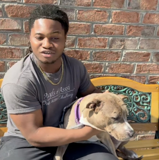 Illustration of the article: Worried about his injured dog, an owner camps all night in front of a veterinary clinic to stay close to her (video)
