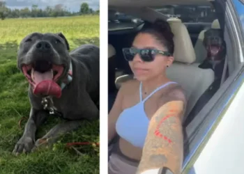 'Now She Can Just Be a female dog', Rescued Dog Finally Finds Happiness After Struggling to Survive (Video)