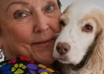 A community of groomers mobilizes to take care of the dogs of their colleague's clients who have cancer