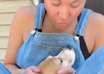 After 7 years without love, this former laboratory Beagle enjoys his first family cuddles (video)