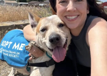 At the shelter for too long, this dog eager for adventure and wide open spaces runs in circles in her box while waiting for adoption (video)