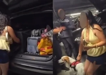 Her dog locked in the trunk of her car, she returned after 3 hours asking the police if he was “whining”