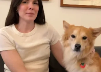 Instagram Famous Foster Mom Gives Reassuring News About Her Dog Simon One Week After Revealing His Cancer (Video)