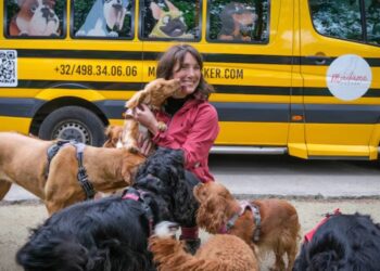 “It’s a bit like a daycare”, every day she comes to pick up the dogs by bus to take them to have fun in the city (video)