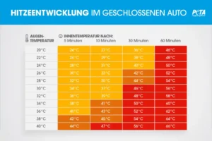 Table - heat development in the car
